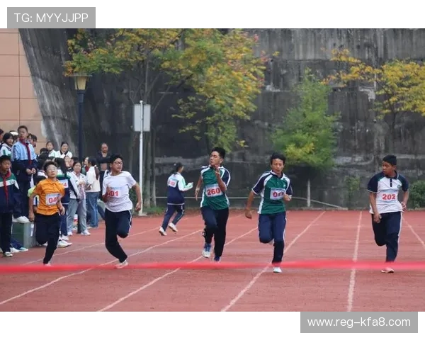 凯发FB体育：未来发展规划与行业竞争中的优势分析