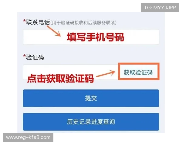 k8网站登录会员登录：登录过程中遇到验证码问题的解决办法