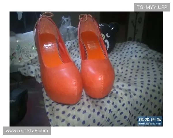 凯发登录首页网址查询步骤详解及登录安全注意事项