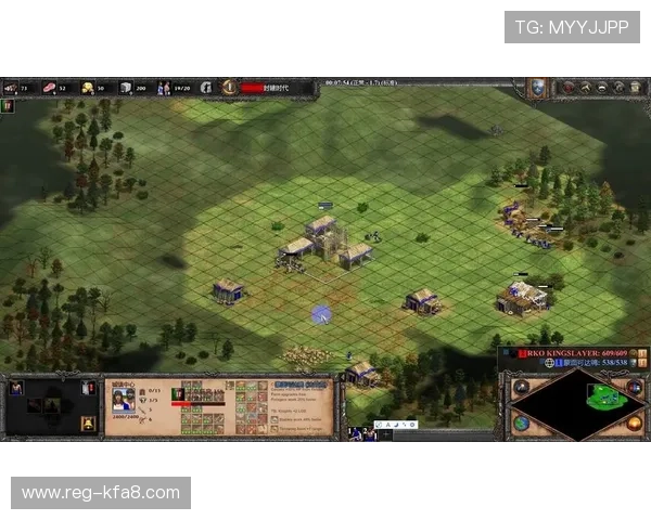 一触即发官网详细解读游戏角色养成策略与团队配合技巧助你轻松取胜